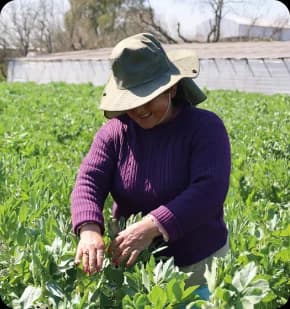 Microcrédito Agroecológico - Líneas de financiación con tasa subsidiada para productoras y productores agroecológicos de la Provincia de Buenos Aires.