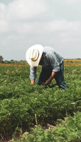 Microcrédito Sistema Alemán - Para fortalecer los emprendimientos y permitir que aumenten su producción a través de la compra, recambio o reposición de insumos y equipos.