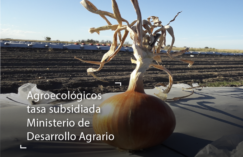 AGROECOLÓGICOS